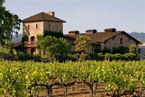 Napa Winery Tour from San Francisco 2024 - Viator