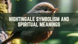 Nightingale Symbolism and Spiritual Meanings