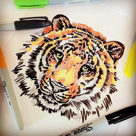 Sharpie art, This is an awesome sharpies tiger head. Sharpie Drawings, Cool Drawings, Sharpie ...