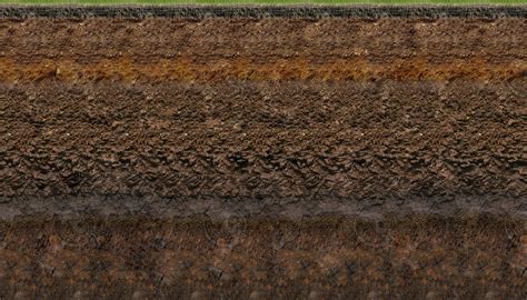 Digging Up the Dirt: How Soils Form - Brewminate: A Bold Blend of News and Ideas