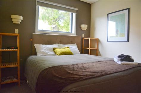 Guide to Pet Friendly Accommodation in Dunedin (2024 Updated) | Kiki Journey