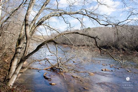 Chattahoochee River, Natural Wonders, Dam, Paths, Closer, Island ...