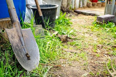 Premium Photo | Shovel and other tools are in the garden in the countryside