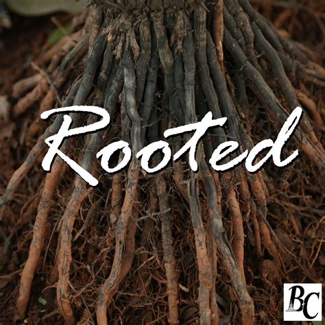 Rooted – Part 4 Putting Down Roots – Bean’s Corner Baptist Church