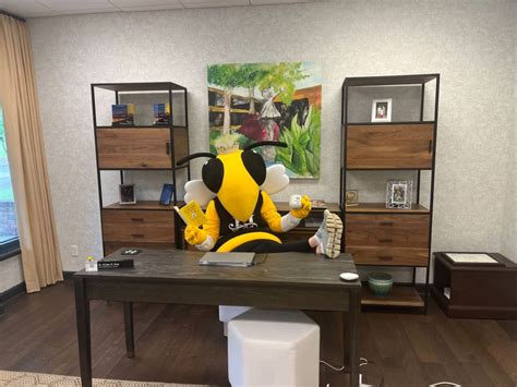 [Video] Hutchison School on LinkedIn: Introducing… Sting! Our new mascot is buzzing around the ...