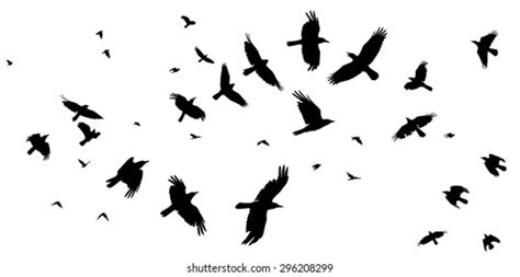 36,188 Crow Silhouette Images, Stock Photos & Vectors | Shutterstock