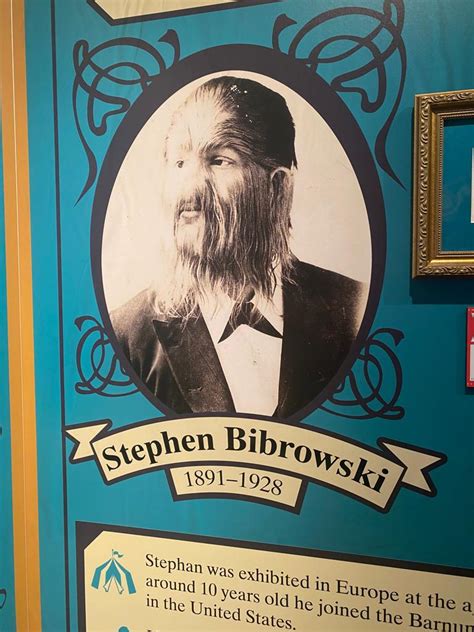 stephen bibrowski by pokemon9010 on DeviantArt