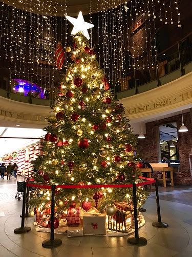 Quincy Market Christmas Tree is fenced in. | hansntareen | Flickr