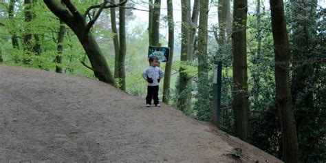 Gruffalo Trail - Delamere Forest - Mini Travellers - Family Travel & Family Holiday Tips