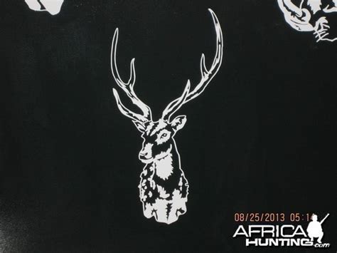 Axis Deer Decal Stickers - My Photo Gallery