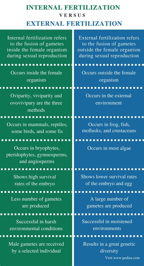 Difference Between Internal and External Fertilization | Definition ...