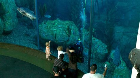 Aquarium of the Pacific in Long Beach, California | Expedia