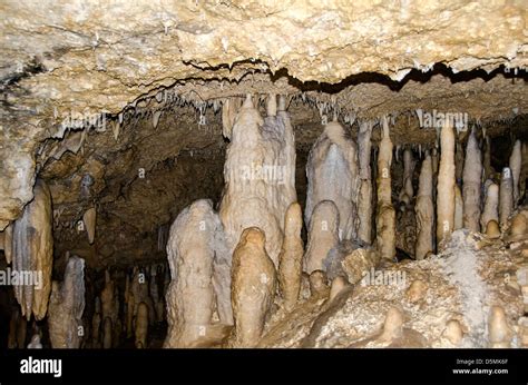 Limestone stalactites and stalagmites in Harrison's Cave, Barbados ...