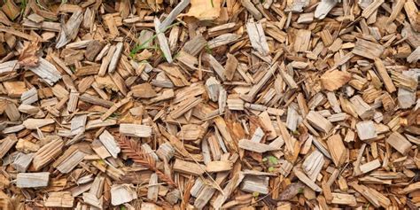 Here Are 8 Resourceful Ways You Can Use Wood Chips In The Garden | Horticulture Magazine