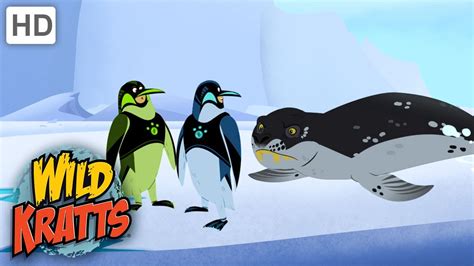 Wild Kratts | AMAZING Penguin Power Suits| Animals - YouTube