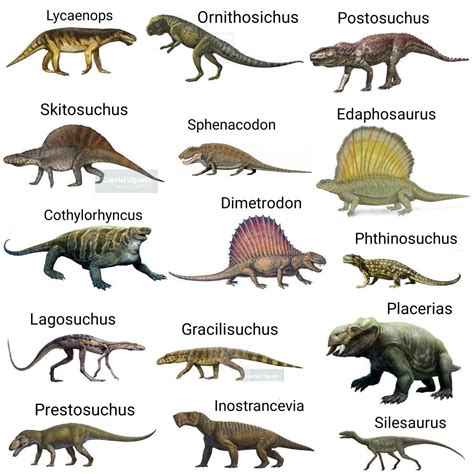 Synapsids and Reptiles | Prehistoric animals, Extinct animals, Prehistoric creatures