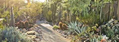 Tucson Botanical Gardens | GetYourGuide Supplier