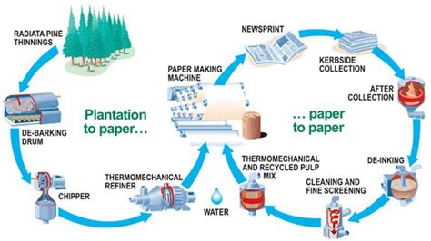 Pulp And Paper Manufacturing Processes in Papermaking Industry