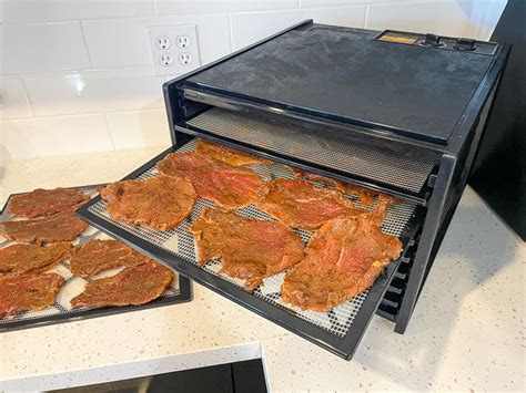 Make Beef Jerky in a Dehydrator [Step-by-Step Guide] – People's Choice ...