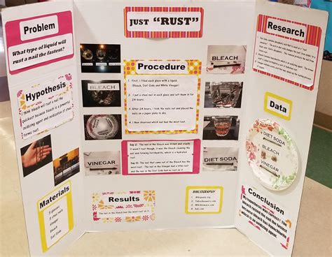 3rd Grade Science Fair Board Layout For Elementary - alter playground
