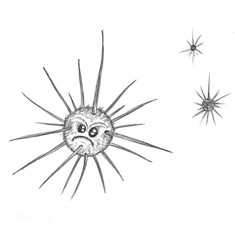 Sea urchin drawing | Sea Life Art