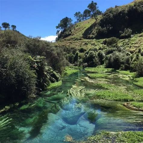 Don't Miss the Putaruru Blue Spring, New Zealand - It's Stunning - Destination>Differentville