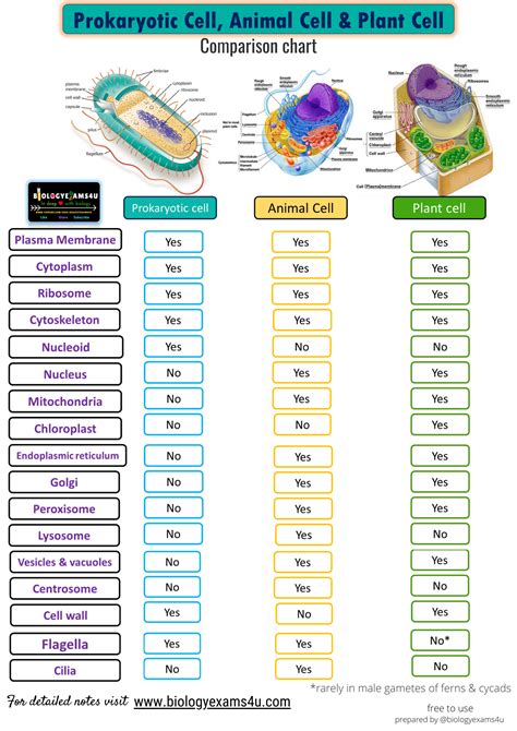 Biology Exams 4 U