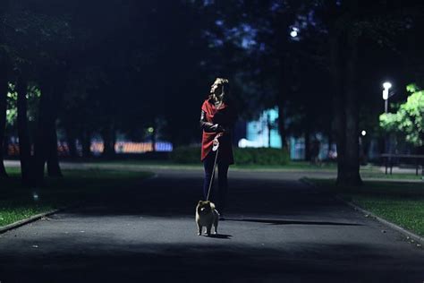 Walking With Your Dog at Night [15 Tips and Precautions Guide] | Pet ...