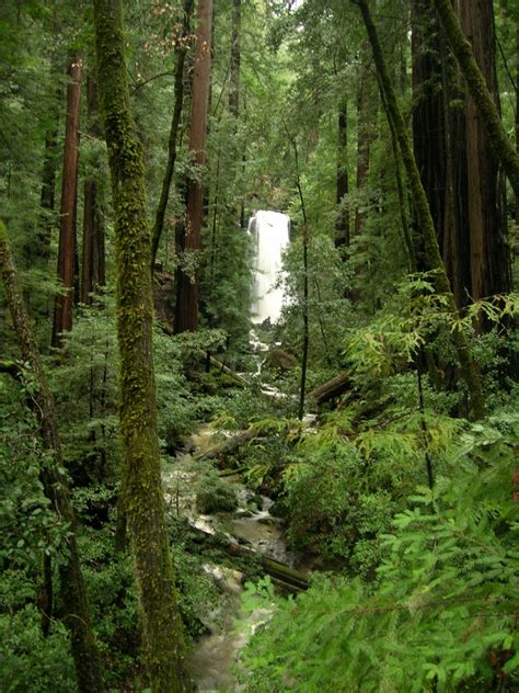 Big Basin Waterfalls – Leor Pantilat's Adventures