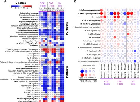 Frontiers | Cell type- and time-dependent biological responses in ex vivo perfused lung grafts