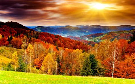 10+ Cảnh mùa thu đẹp nhất thế giới Khoảnh khắc đến từ thiên nhiên