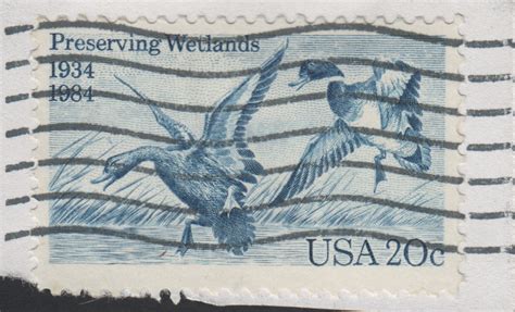 US-1984-20c-Preserving Wetlands Mallard Ducks-Scott 2092 | Flickr