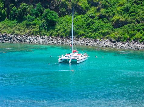 Honolua Bay Snorkeling Secrets! The Complete Guide to Maui Snorkeling!