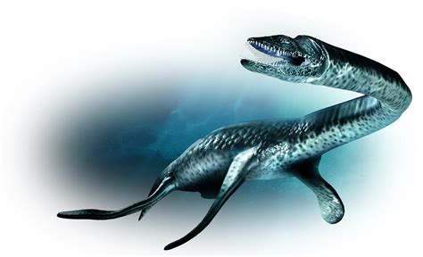 Plesiosaurus | Dinosaur Wiki | Fandom powered by Wikia