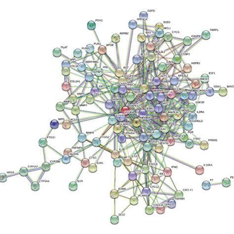 Protein-protein interaction network. | Download Scientific Diagram