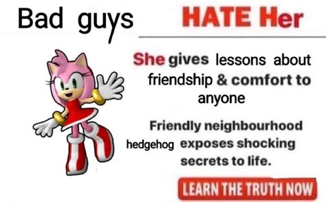 Amy rose 🦔💕 | Sonic funny, Amy rose, Sonic