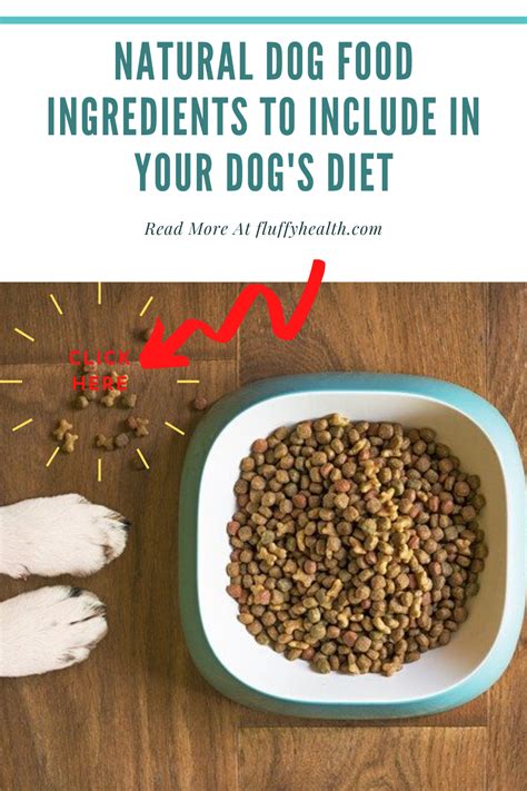Natural Dog Food Ingredients To Include In Your Dog's Diet | Fluffyhealth