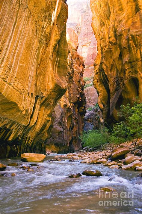 Virgin River Narrows Photograph by Greg Clure - Fine Art America