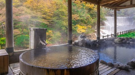 6 Nikko Ryokan with Private Onsen - Erika's Travelventures