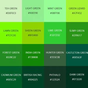 Meaning of the Color Green: Symbolism, Common Uses, & More