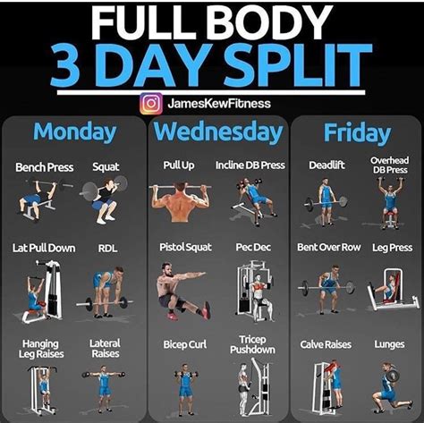 Full body 3 days split | Full body workout plan, Full body workout routine, Body workout plan