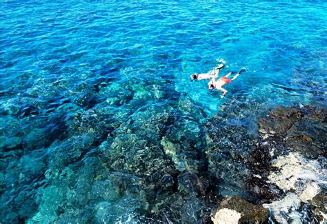 The Best Snorkeling Spots in Oahu, Hawaii:Snorkeling | Travel | Pinterest | Oahu hawaii, Oahu ...