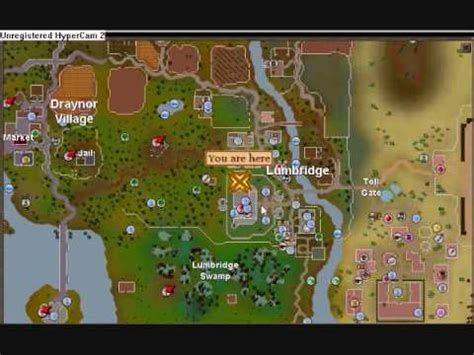 Best Harpoon Fishing Spot Runescape