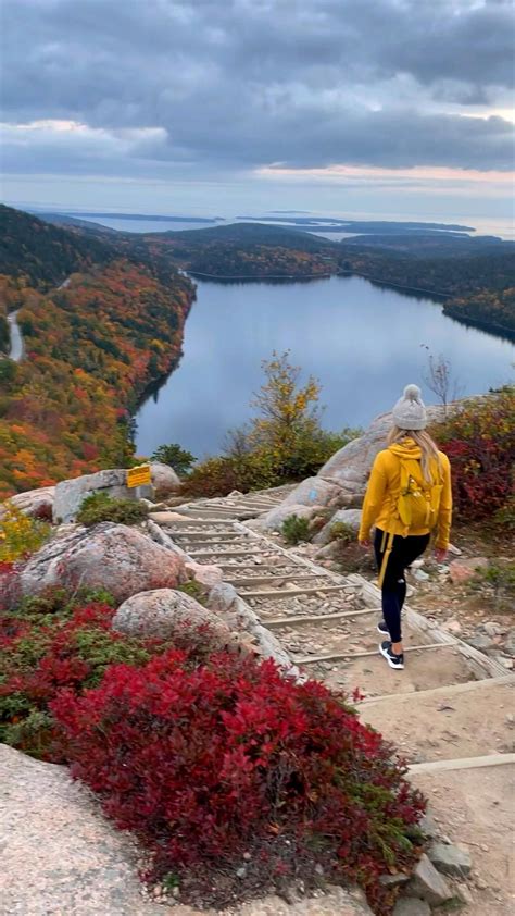 See the fall colors in acadia national park – Artofit