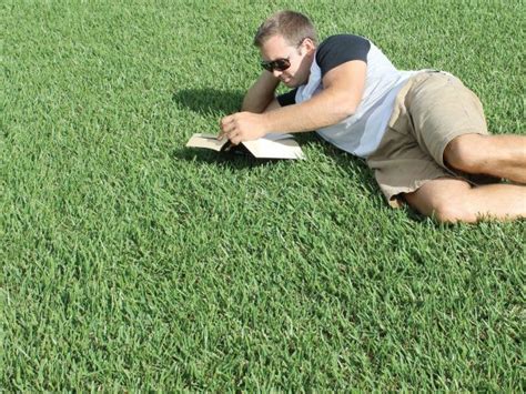 Lawn Tips - Buffalo Grass | myhomeTurf