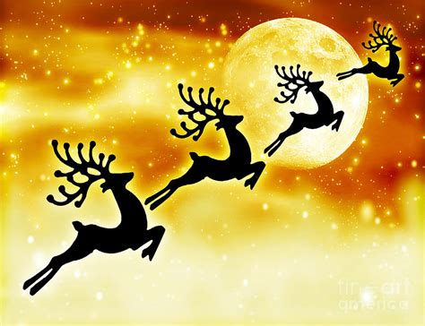 Reindeer silhouette in night sky #1 Photograph by Anna Om - Fine Art ...