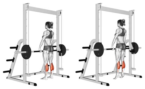 Smith Machine Calf Raise: Benefits, Muscles Worked, and More - Inspire US