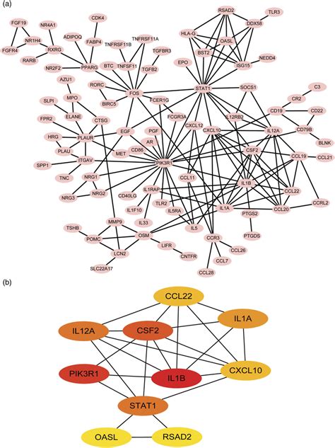 The protein-protein interaction network constructed by differentially... | Download Scientific ...