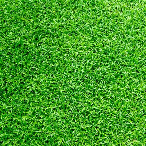 Grass Floor Green grass turf floor texture stock image - Oxilo