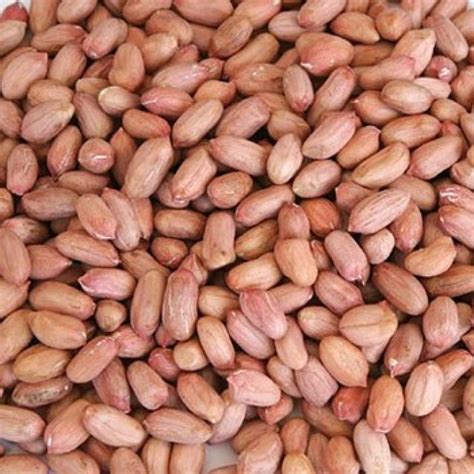 Indian peanuts (Groundnuts) - Agriprime